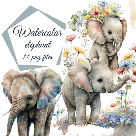 Watercolor Elephant Clipart Baby Elephant Elephant Etsy