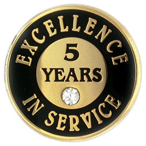 Pinmart Gold Plated Excellence In Service Year Award Lapel Pin Metal