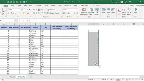 Use Of Autofill In Excel And How To Customise Autofill Excel Made Simple