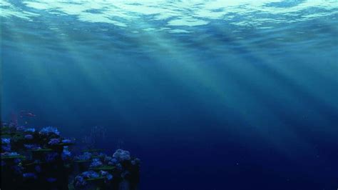 Download Underwater Adventure With Nemo And Friends