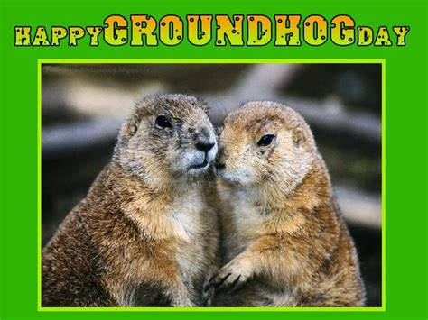 Groundhog Day Funny Quotes Quotesgram