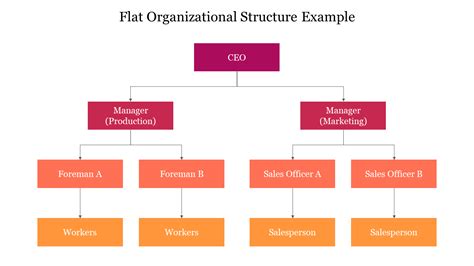 Flat Organizational Structure Example Organizational Chart
