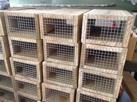 Rat Trap Boxes By Mens Shed For Whareora Landcare April 2015 Kiwi