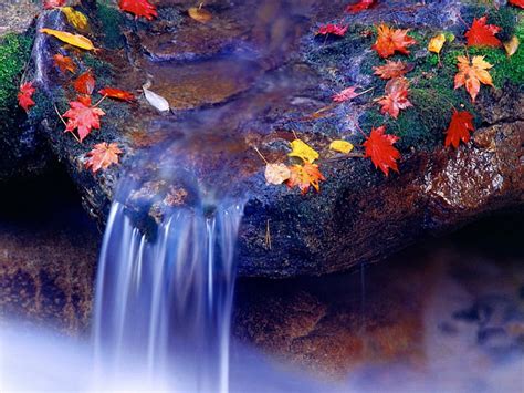 1920x1080px 1080p Free Download Autumn Falls Blue Autumn Leaves