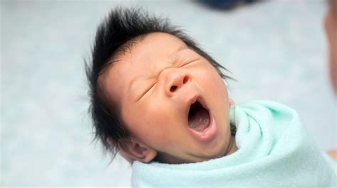 Winks: How to Establish a Sleep Schedule Your Baby Will Actually Stick 