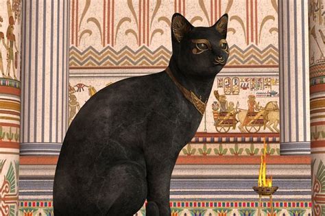 the importance of cats in ancient egypt introduction