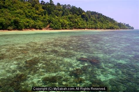 Reserva con destinia y con las máximas garantías, tu habitación en hotel bunga raya island sabah. Bunga Raya Resort, Sabah, Malaysia/bunga-raya-resort-img_2550