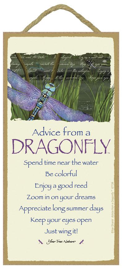 Advice From A Dragonfly Hanging Wood Sign Your True Nature Inc
