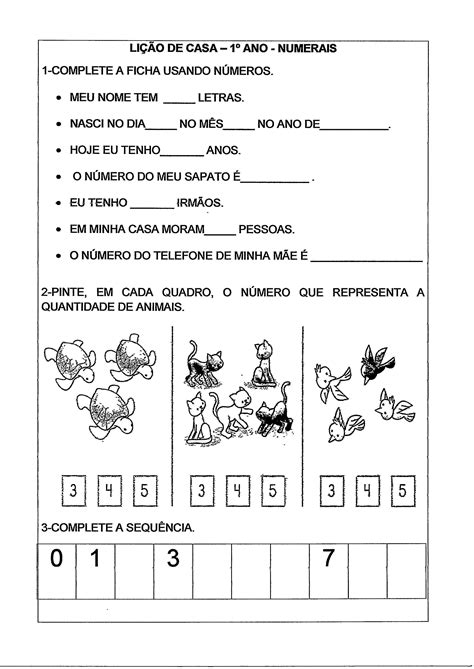 Conteudos Para Alfabetização 1 Ano