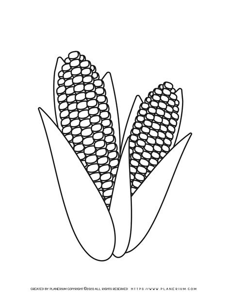 Corn Coloring Page Free Printable Planerium