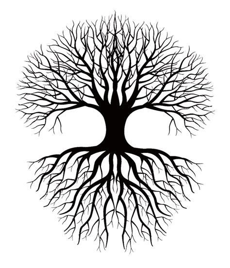 This coloring picture meassure is about 600 pixel x 480 pixel with approximate file size for around 68.71 kilobytes. Coloring Book Drawing Root Tree Clip Art - Tree And Roots ...