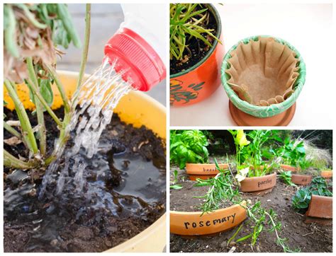 11 easy gardening hacks and tips you ll wish you d known sooner