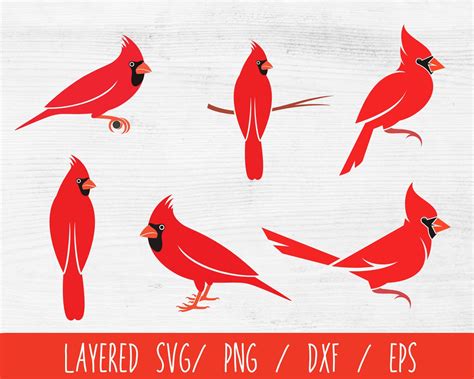 Cardinal Bird Svg Bundle Red Cardinal Bird Svg Memorial Svg Etsy Canada