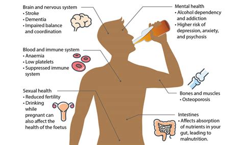 Alcohol How It Affects Your Body Health Plus
