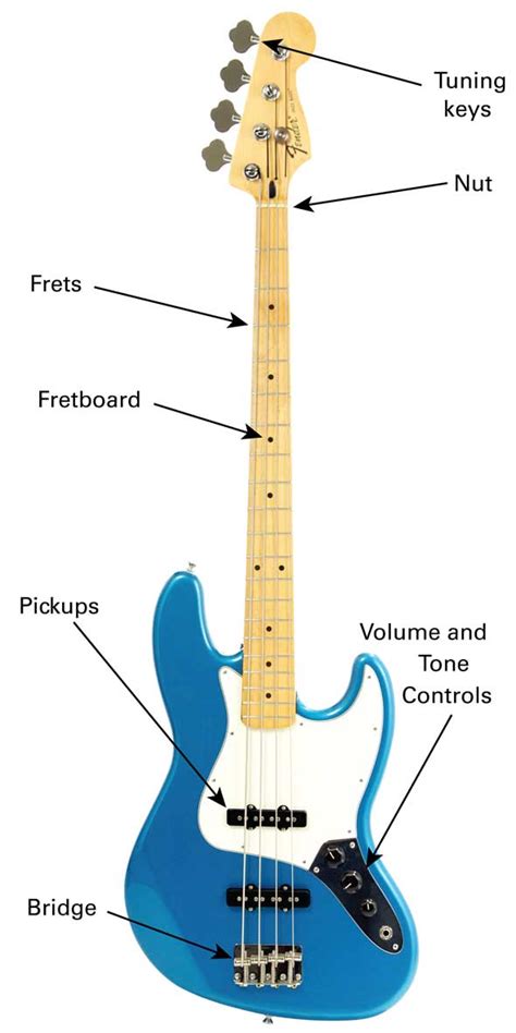 The Bass Guitar Learn To Play Music Blog