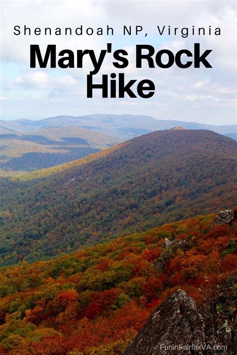 Marys Rock Hike To Spectacular Shenandoah Views Shenandoah Hiking