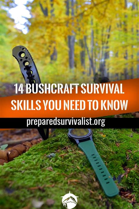 14 Bushcraft Survival Skills You Need To Know Prepared Survivalist