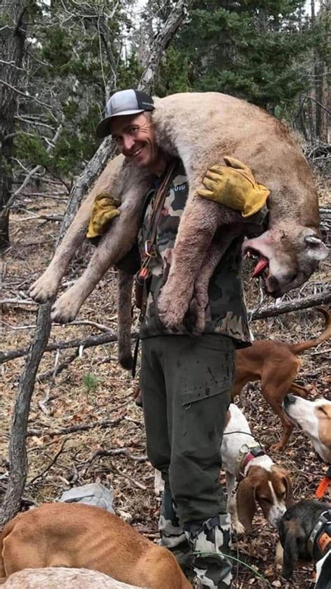 High Success Mountain Lion Hunts Best Outfitters And Hunts