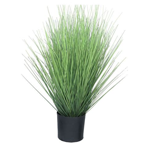 Siergras 60cm Decoratietakken In 2022 Siergras Planten Grassen