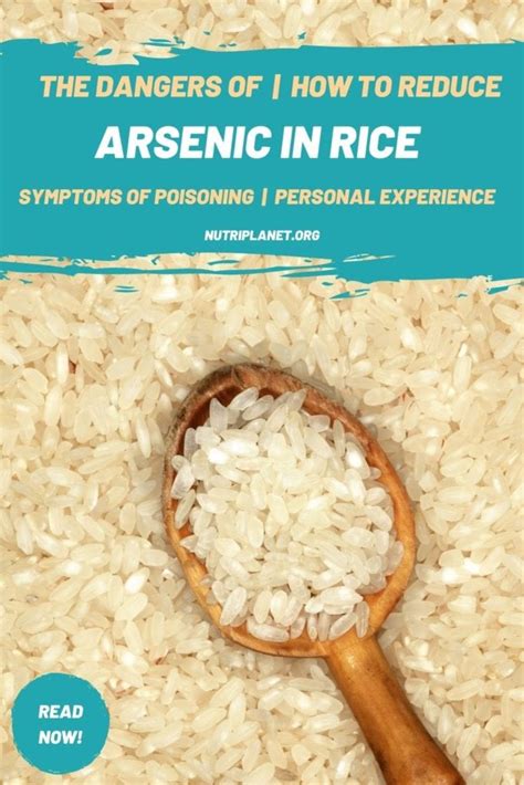 arsenic in rice is it really that dangerous my personal experience