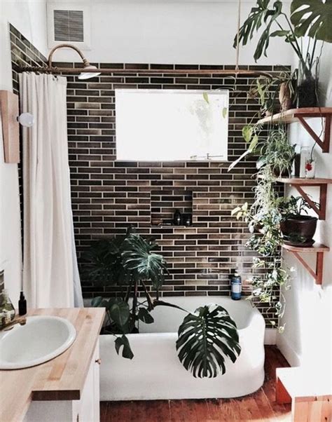 Son una manera genial de crear un baño con estilo. Decorar el baño con plantas. Naturalidad, frescura y mucha ...