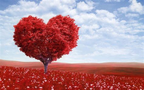 Valentines Day Hearts Wallpapers Top Những Hình Ảnh Đẹp