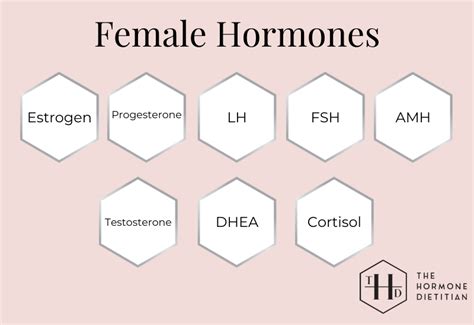 Female Sex Hormones 101 — The Hormone Dietitian Free Download Nude