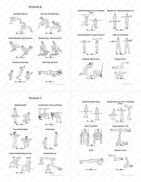 Full Body Gym Workout Pack For Beginners