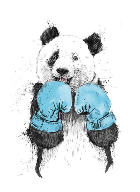 Boxing Panda And Hipster Lion Album On Imgur