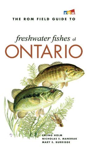 Pdf Download The Rom Field Guide To Freshwater Fishes Of Ontario