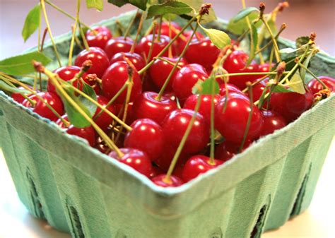 Bowl Of Cherries Best Fruits To Eat All Fruits Sour Cherry Cherry