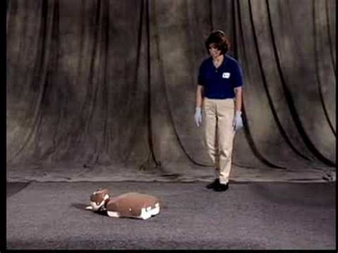 These changes in standards will affect the products you. Red Cross Adult CPR Training - Check, Call, Care - YouTube