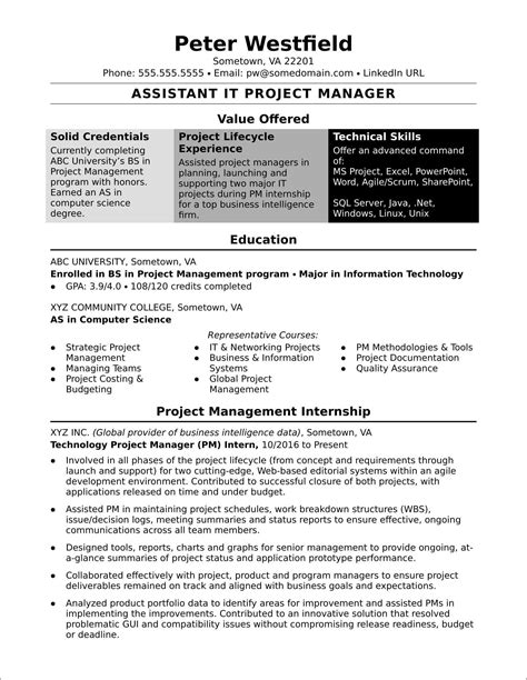 It Project Manager Resume Sample India Resume Example Gallery