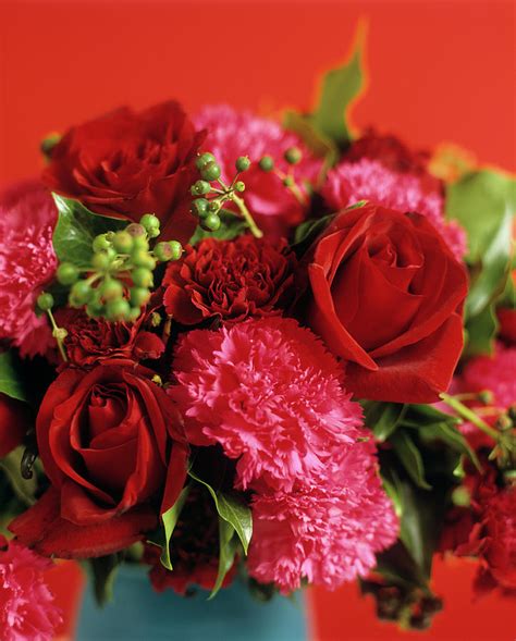 Roses And Carnations Photograph By Rowland Roques Oneil Science Photo