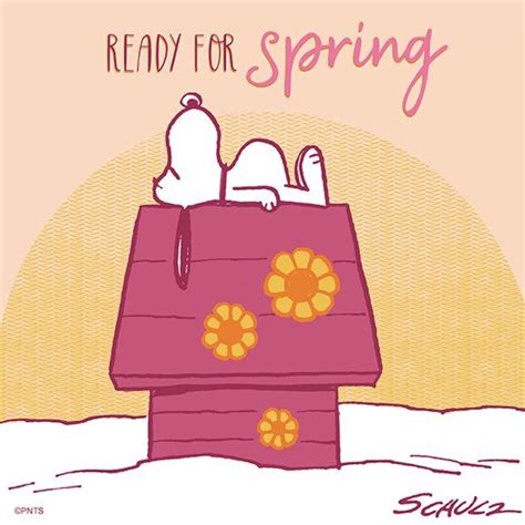 Spring Cant Come Soon Enough Funny Cartoon Pictures Funny Disney