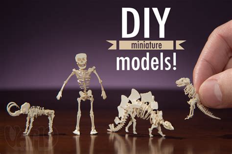 Tinysaurs Diy Small Scale Skeletal Paper Models