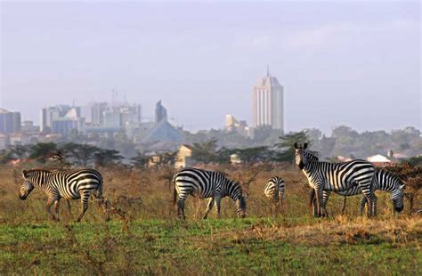 Ultimate Guide To A Nairobi Vacation Ultimate Country Guides