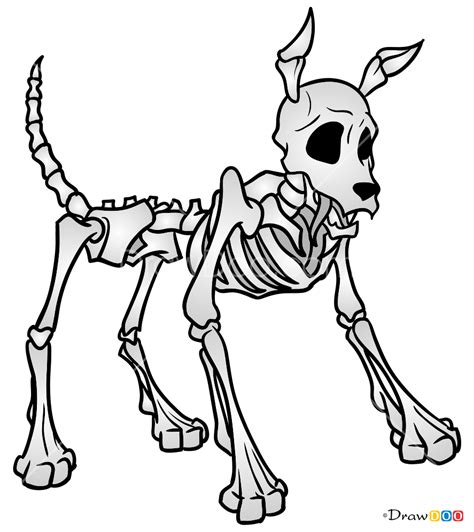 Drawing a realistic dogs starts with lifelike eyes eyes. How to Draw Dog Skeleton, Skeletons