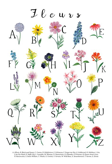 Flower Floral Alphabet Print Wall Art Abc Nursery Childrens Etsy