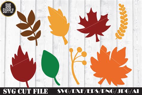 Leaves Svg Bundle Leaf Svg Bundle Leaves Cut File Cricut Silhouette Dxf