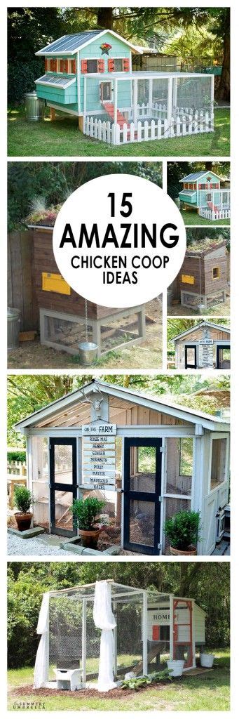 15 amazing chicken coop ideas — bees and roses gardening tips and hacks chickens backyard