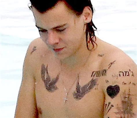 Harry Styles Covered His 52 Tattoos Pictures