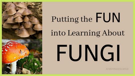 Putting The Fun Into Learning About Fungi Kristin Moon Science