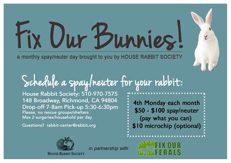 spay neuter house rabbit society adoption and education center house rabbit society house