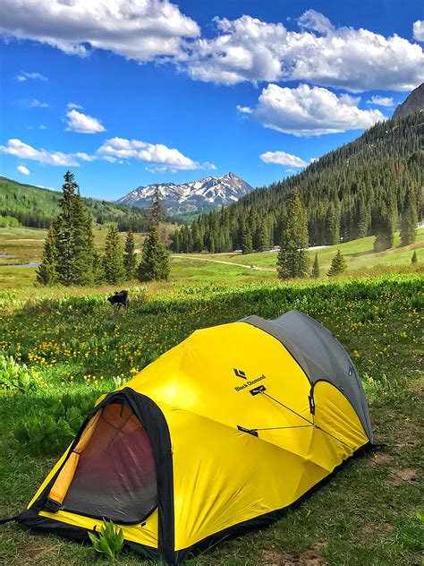 Camp Next to Fields of Wildflowers | Crested butte camping, Winter