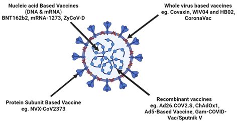 Vaccines Free Full Text A Comprehensive Review On The Current