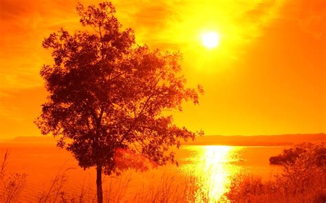 Landscape Sun Trees Lake Orange Water Wallpapers Hd Desktop And