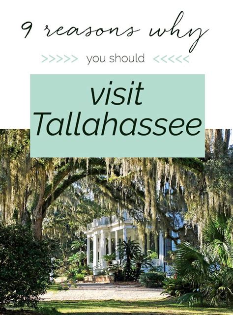 9 Reasons You Should Add Tallahassee To Your List Of Must Visit How