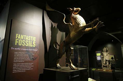 Witte Museums Big Fall Show Features Mermaids Dragons Unicorns