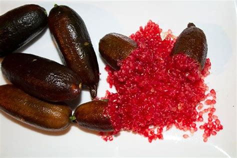 The Australian Native Red Finger Lime Healthy Foods Healthy Recipes Finger Lime Australian